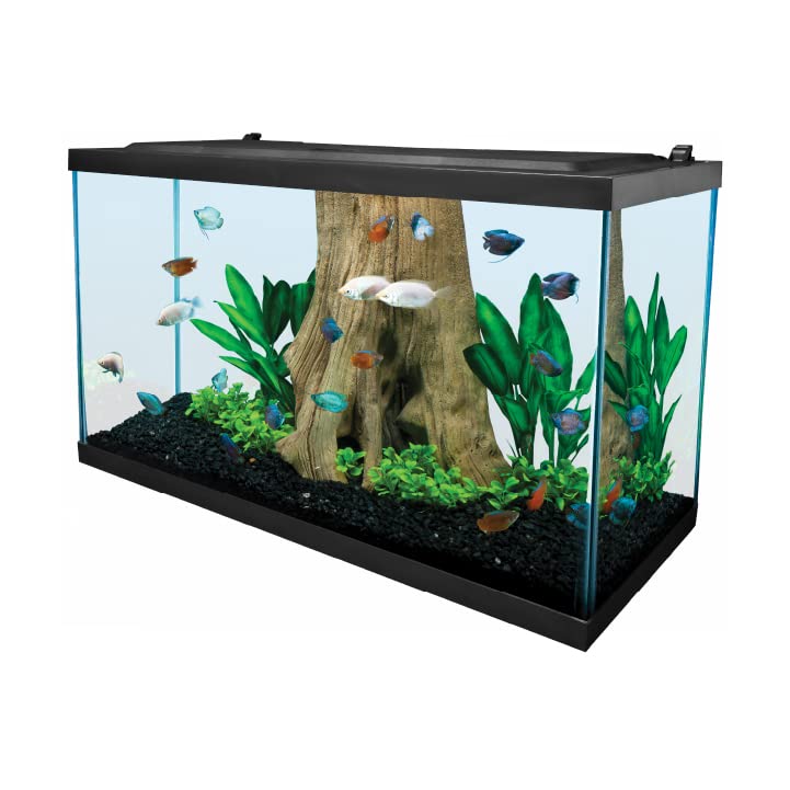 Your one-stop shop for diverse, top-quality aquarium supplies and accessories