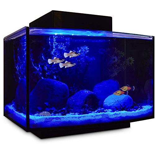 Your one-stop shop for diverse, top-quality aquarium supplies and accessories