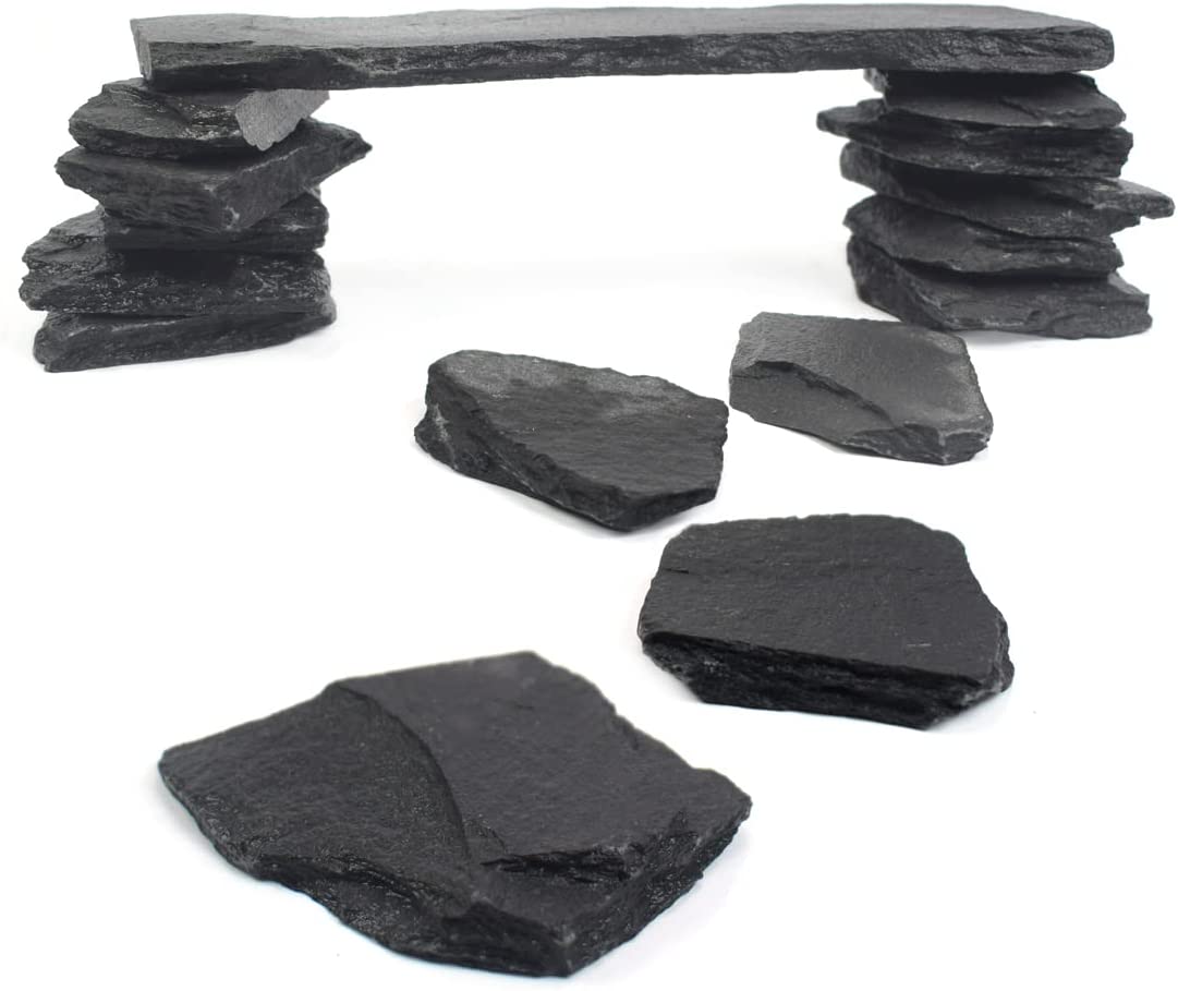 Your one-stop shop for diverse, top-quality aquarium supplies and accessories