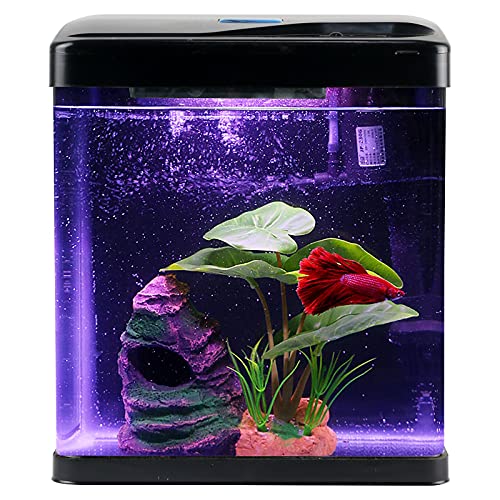 Betta Fish Tank Self Cleaning Glass 2 Gallon Small Nano Aquarium Start – Supply AG Betta Fish Tank Self Cleaning Glass 2 Gallon Small Nano Aquarium Start – Supply AG
