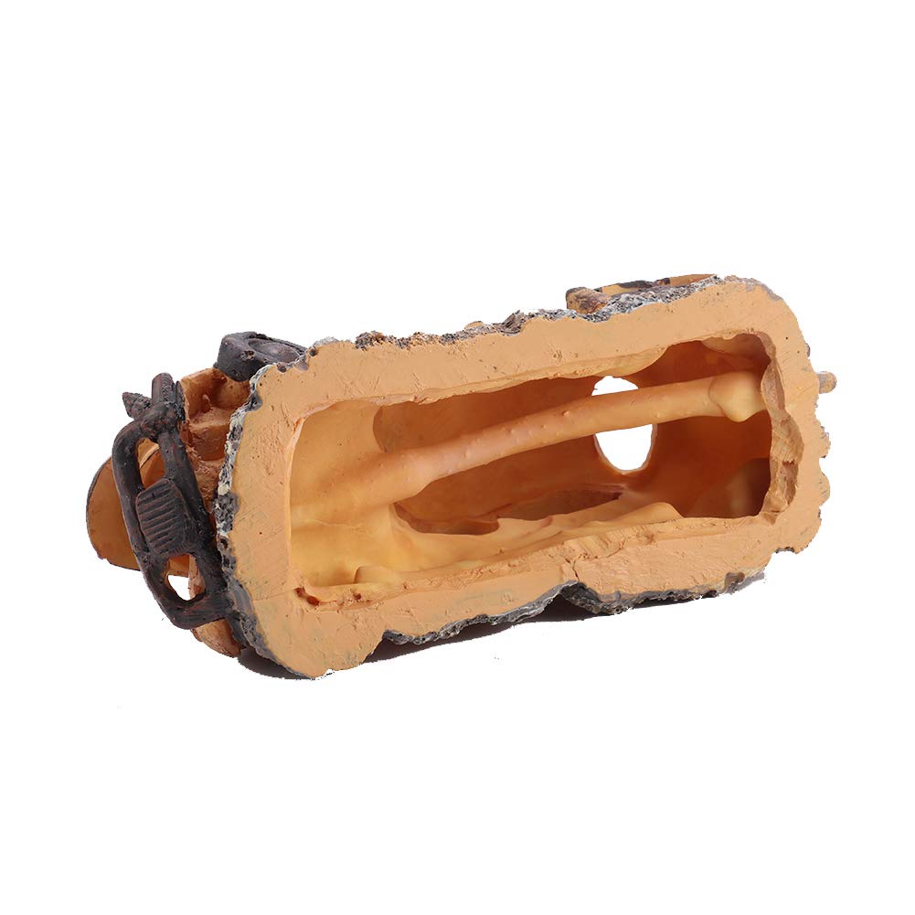 Your one-stop shop for diverse, top-quality aquarium supplies and accessories