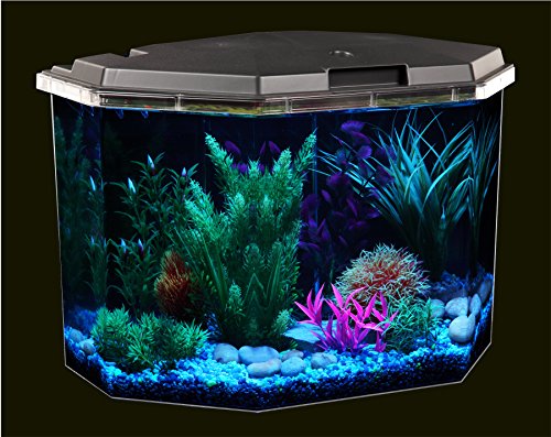 Your one-stop shop for diverse, top-quality aquarium supplies and accessories