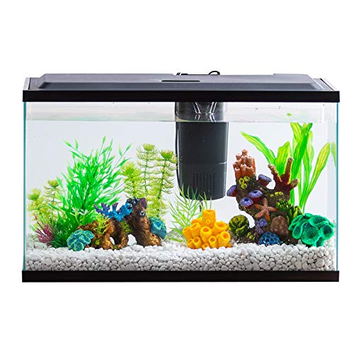 Your one-stop shop for diverse, top-quality aquarium supplies and accessories
