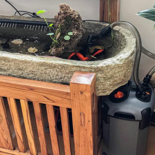 Your one-stop shop for diverse, top-quality aquarium supplies and accessories