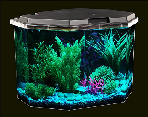 Your one-stop shop for diverse, top-quality aquarium supplies and accessories
