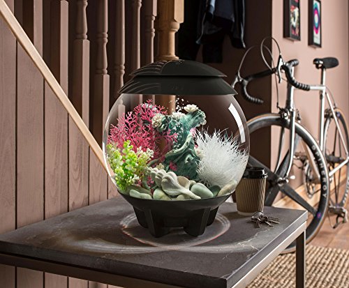 Your one-stop shop for diverse, top-quality aquarium supplies and accessories
