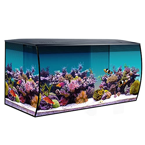 Your one-stop shop for diverse, top-quality aquarium supplies and accessories