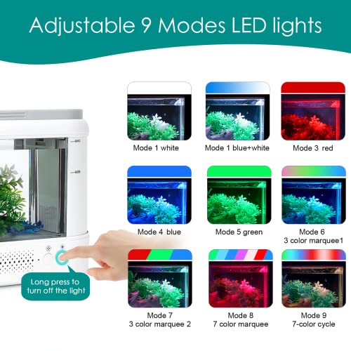 Your one-stop shop for diverse, top-quality aquarium supplies and accessories