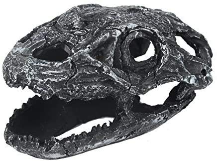 Your one-stop shop for diverse, top-quality aquarium supplies and accessories