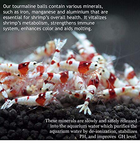 Your one-stop shop for diverse, top-quality aquarium supplies and accessories