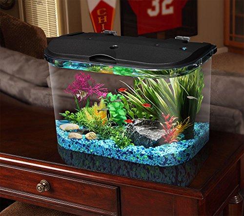 Your one-stop shop for diverse, top-quality aquarium supplies and accessories