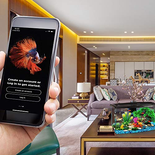 Your one-stop shop for diverse, top-quality aquarium supplies and accessories