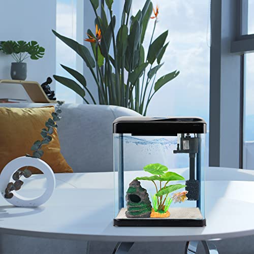 Your one-stop shop for diverse, top-quality aquarium supplies and accessories