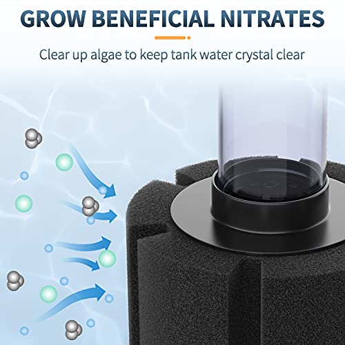 Your one-stop shop for diverse, top-quality aquarium supplies and accessories