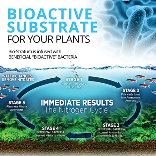 Your one-stop shop for diverse, top-quality aquarium supplies and accessories