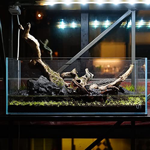 Your one-stop shop for diverse, top-quality aquarium supplies and accessories