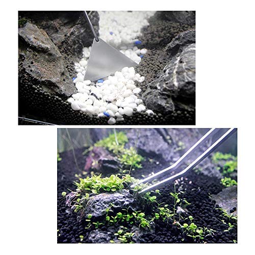 Your one-stop shop for diverse, top-quality aquarium supplies and accessories