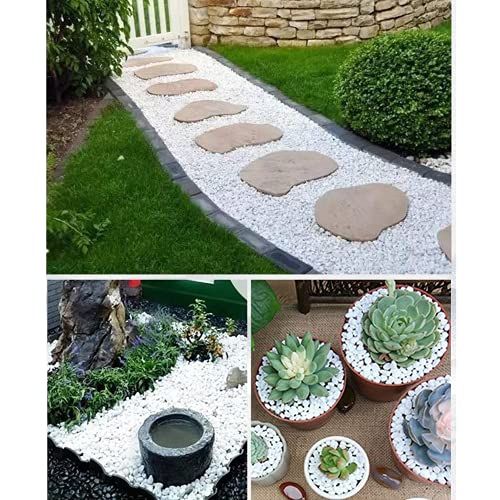 Your one-stop shop for diverse, top-quality aquarium supplies and accessories