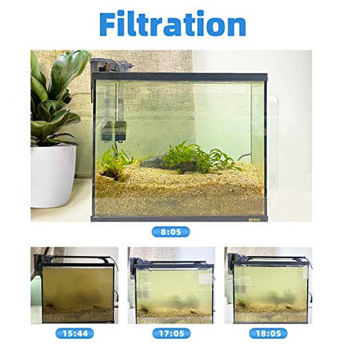 Your one-stop shop for diverse, top-quality aquarium supplies and accessories