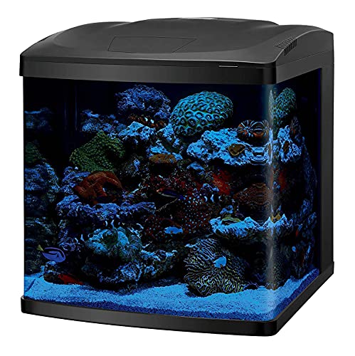 Your one-stop shop for diverse, top-quality aquarium supplies and accessories