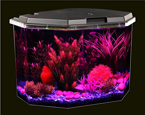 Your one-stop shop for diverse, top-quality aquarium supplies and accessories