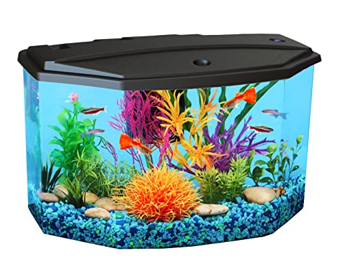 Your one-stop shop for diverse, top-quality aquarium supplies and accessories