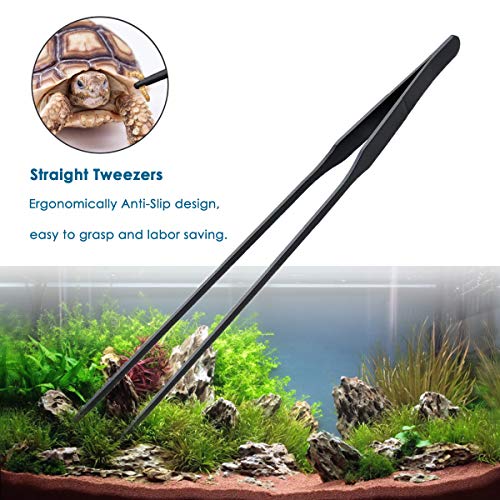 Your one-stop shop for diverse, top-quality aquarium supplies and accessories