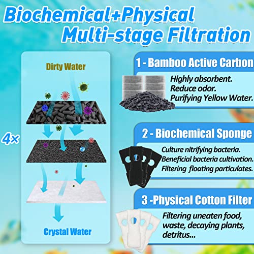 Your one-stop shop for diverse, top-quality aquarium supplies and accessories