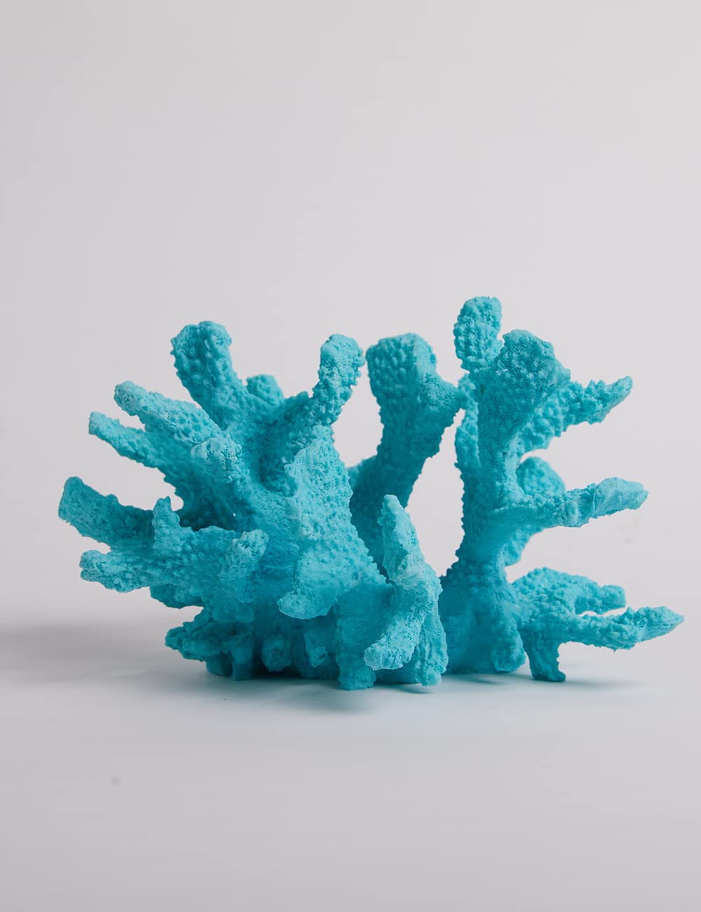 Your one-stop shop for diverse, top-quality aquarium supplies and accessories