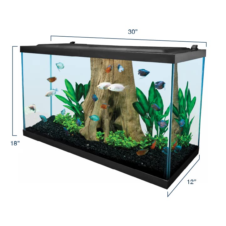 Your one-stop shop for diverse, top-quality aquarium supplies and accessories