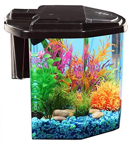 Your one-stop shop for diverse, top-quality aquarium supplies and accessories