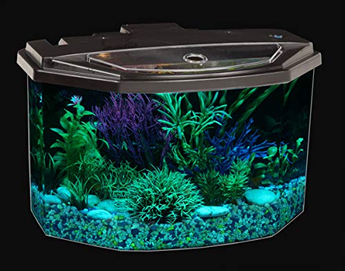 Your one-stop shop for diverse, top-quality aquarium supplies and accessories