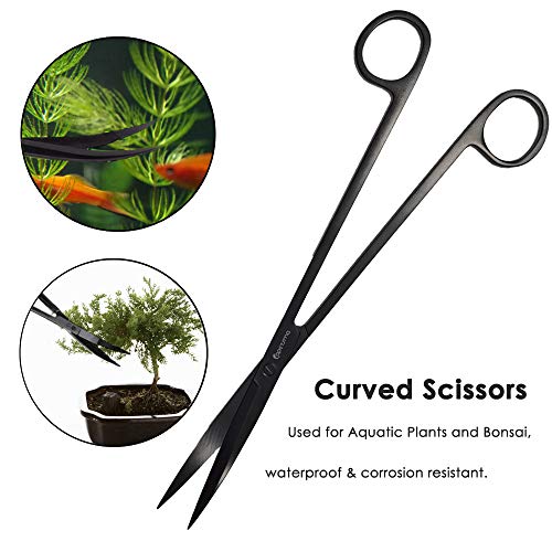 Your one-stop shop for diverse, top-quality aquarium supplies and accessories