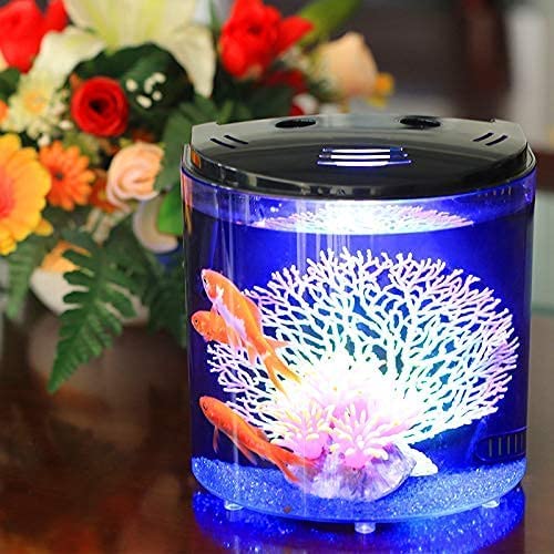 Your one-stop shop for diverse, top-quality aquarium supplies and accessories