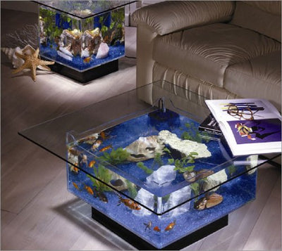 Your one-stop shop for diverse, top-quality aquarium supplies and accessories