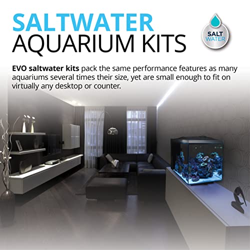 Your one-stop shop for diverse, top-quality aquarium supplies and accessories
