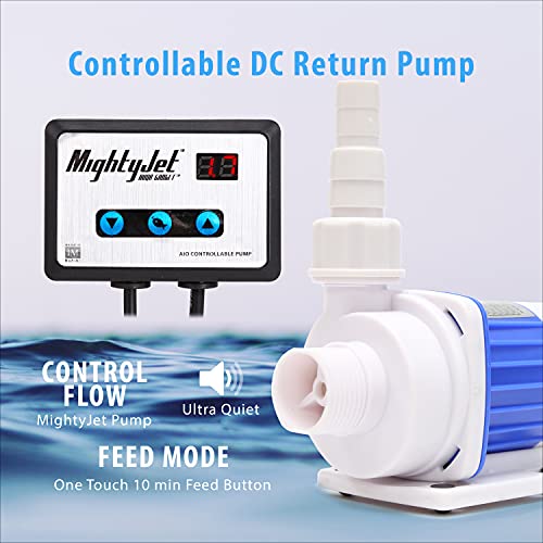 Your one-stop shop for diverse, top-quality aquarium supplies and accessories