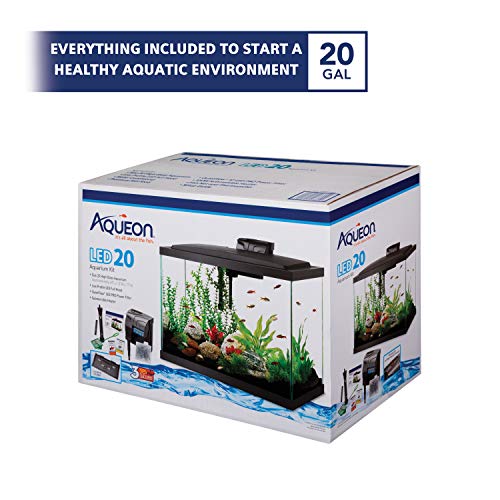 Your one-stop shop for diverse, top-quality aquarium supplies and accessories