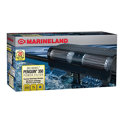Your one-stop shop for diverse, top-quality aquarium supplies and accessories