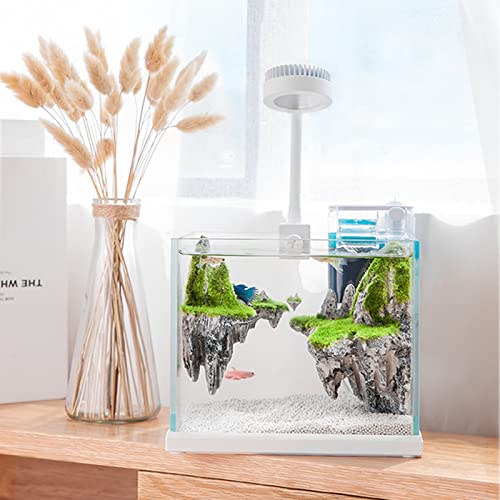 Your one-stop shop for diverse, top-quality aquarium supplies and accessories