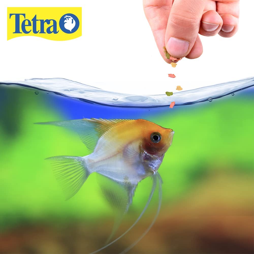 Your one-stop shop for diverse, top-quality aquarium supplies and accessories