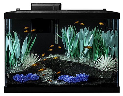 Your one-stop shop for diverse, top-quality aquarium supplies and accessories