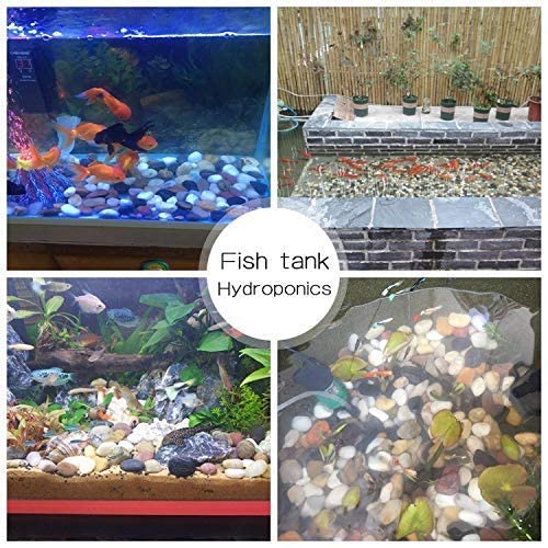 Your one-stop shop for diverse, top-quality aquarium supplies and accessories
