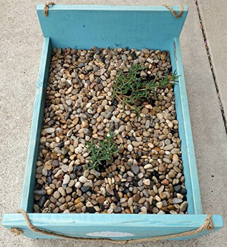 Your one-stop shop for diverse, top-quality aquarium supplies and accessories