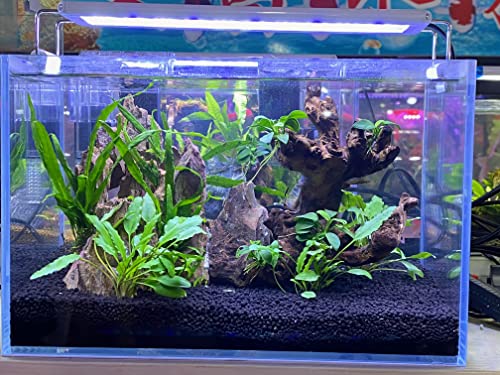Your one-stop shop for diverse, top-quality aquarium supplies and accessories