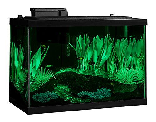 Your one-stop shop for diverse, top-quality aquarium supplies and accessories