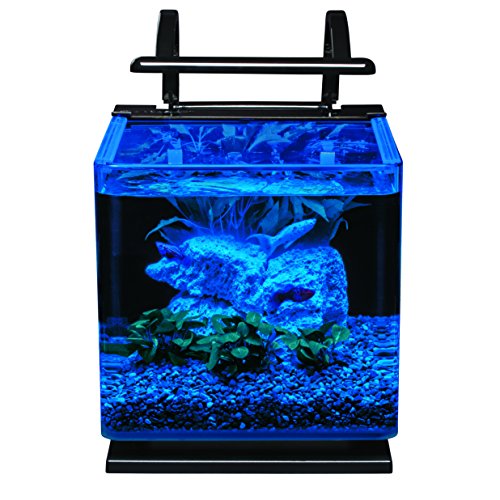 Your one-stop shop for diverse, top-quality aquarium supplies and accessories