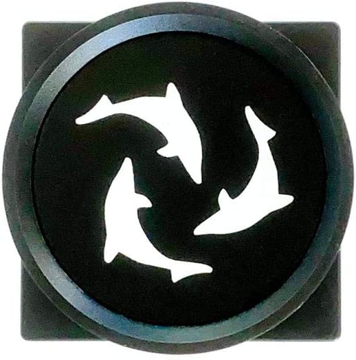 Your one-stop shop for diverse, top-quality aquarium supplies and accessories
