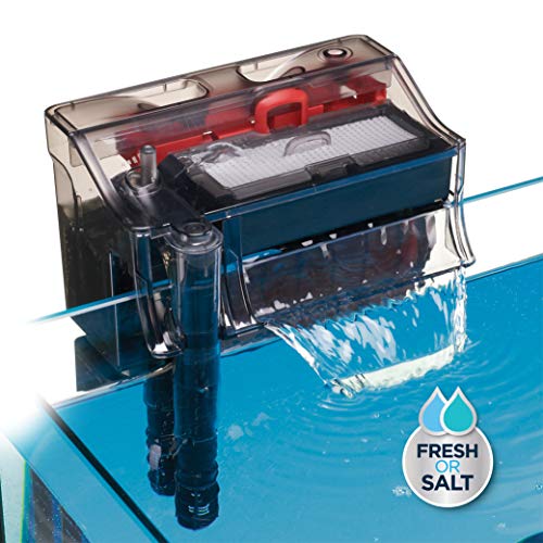 Your one-stop shop for diverse, top-quality aquarium supplies and accessories