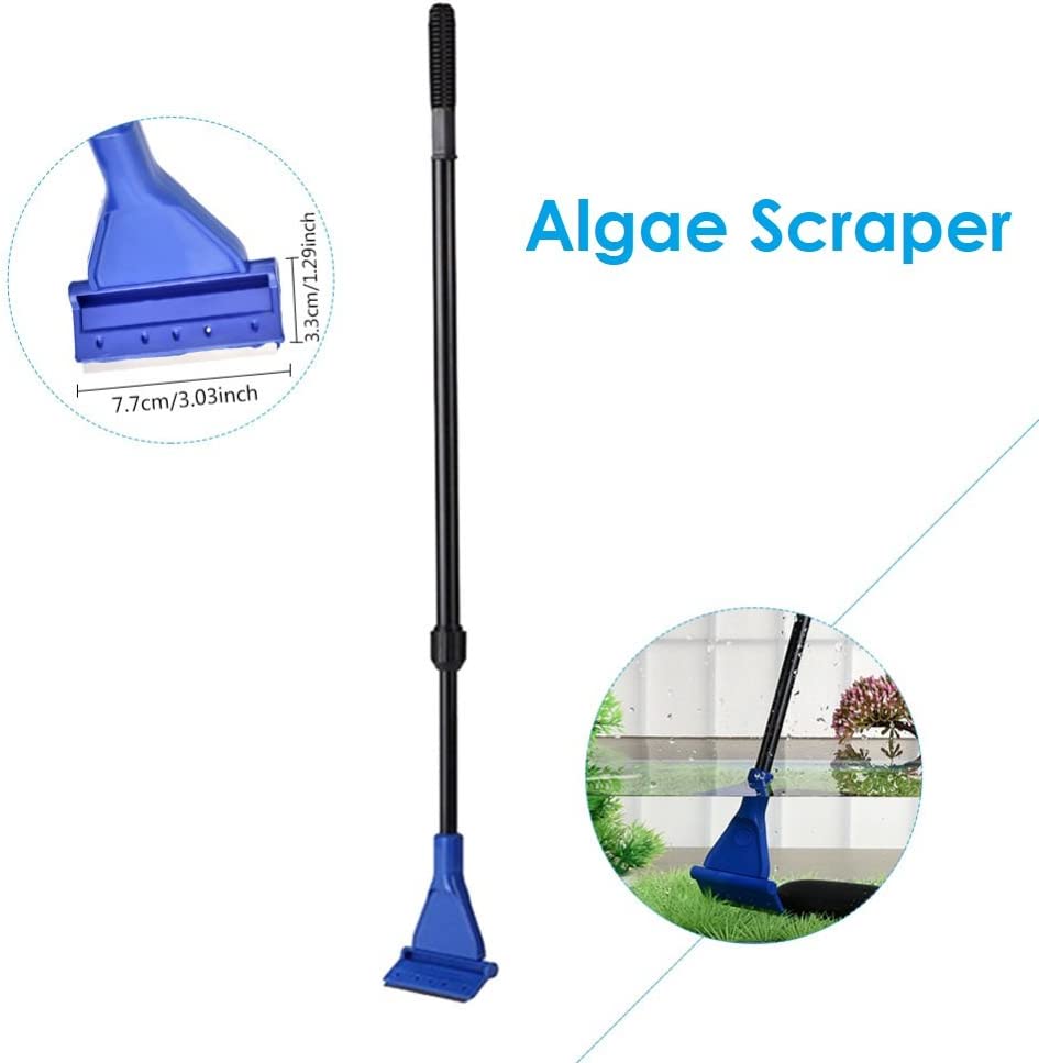 Your one-stop shop for diverse, top-quality aquarium supplies and accessories